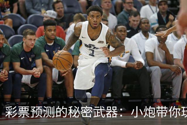 彩票预测的秘密武器：小炮带你玩转数据信息