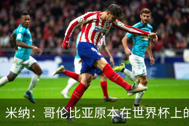 米纳：哥伦比亚原本在世界杯上的目标是打进决赛并夺冠